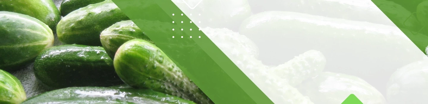 Quality Agricultural Products