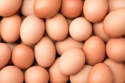 Eggs crate