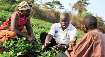 Agricultural Services